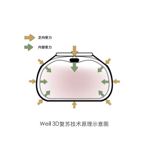 QQ截图20240117133523
