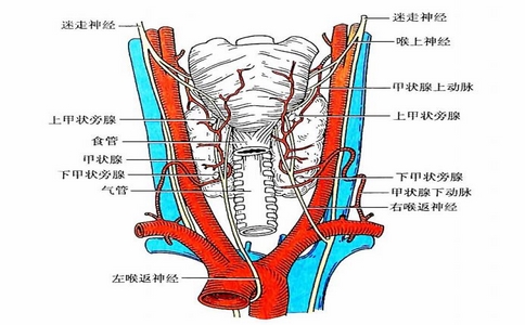 2025-02-12_术中喉返神经监测仪_3